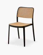 Plastic Dining Chair