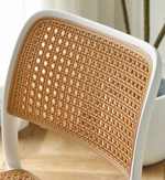 Plastic Dining Chair